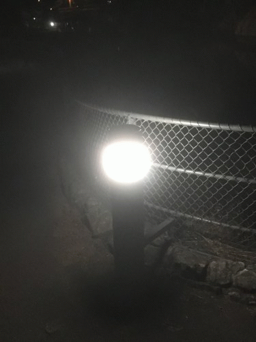 Striborg : Rehearsal 2019